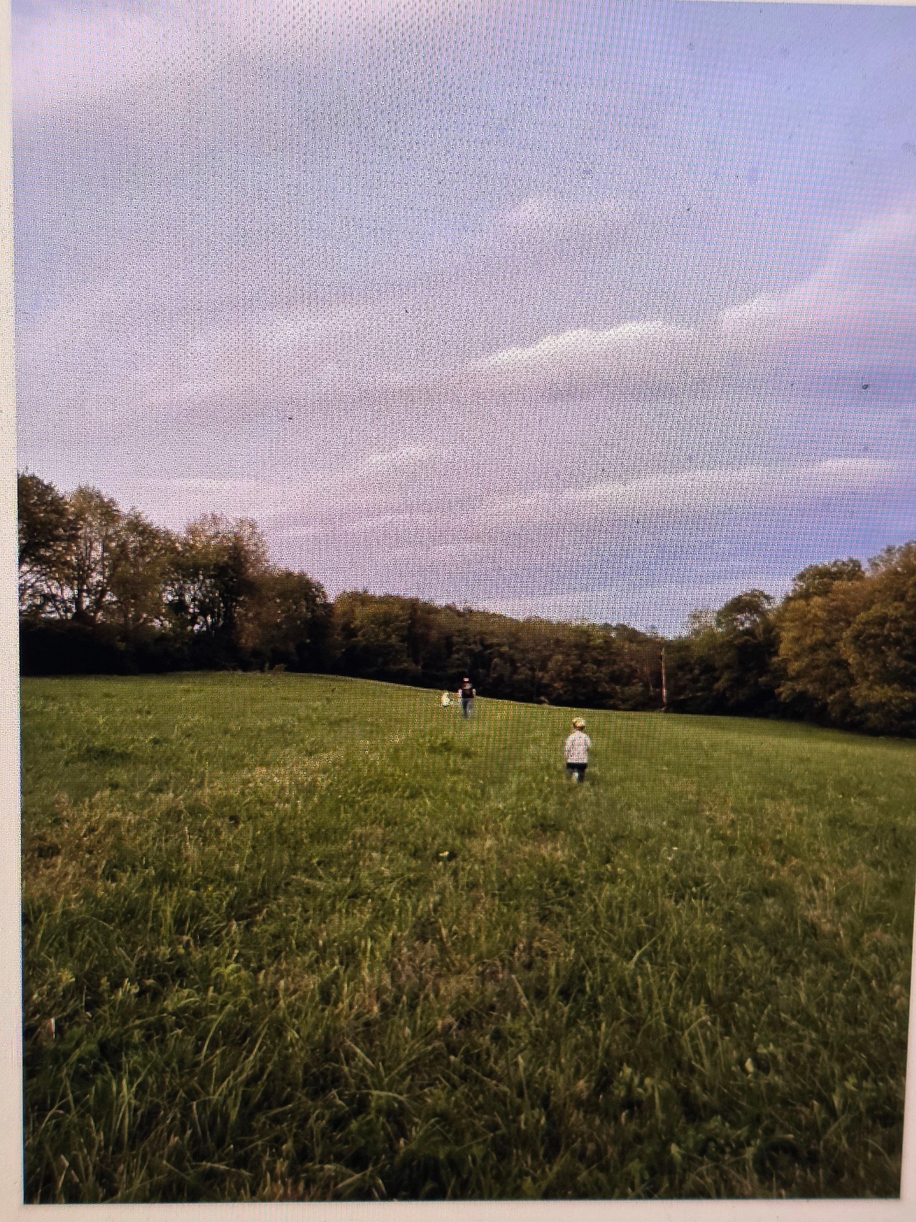 The beautiful Kentucky farmland where we'll celebrate